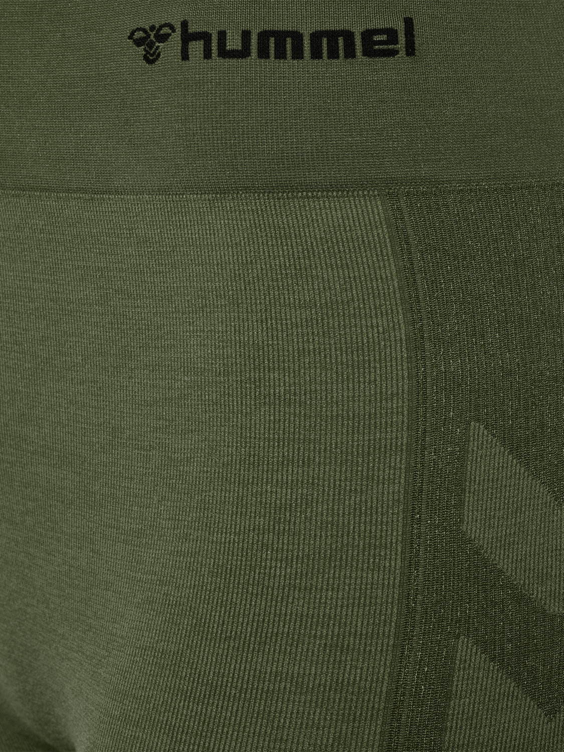 hmlCLEA SEAMLESS CYCLING SHORTS, CLIMBING IVY/BEETLE MELANGE, packshot