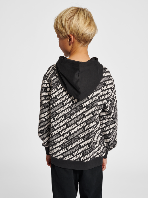 hmlCAMERON HOODIE, 2001, model