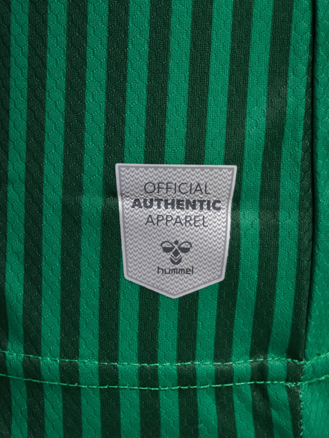 WER 23/24 HOME JERSEY S/S WO, EDEN, packshot