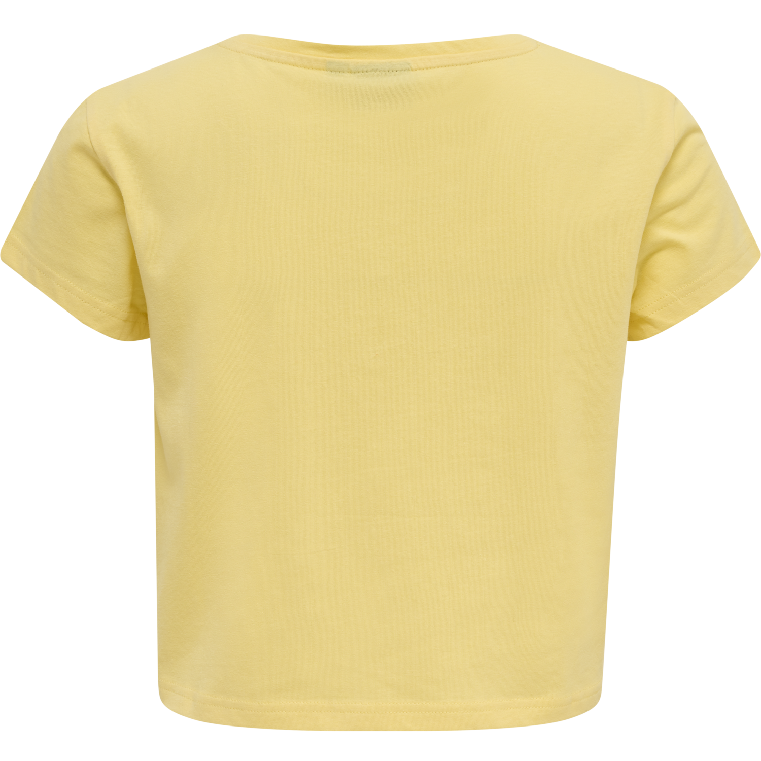 hmlLEGACY WOMAN CROPPED T-SHIRT, GOLDEN HAZE, packshot