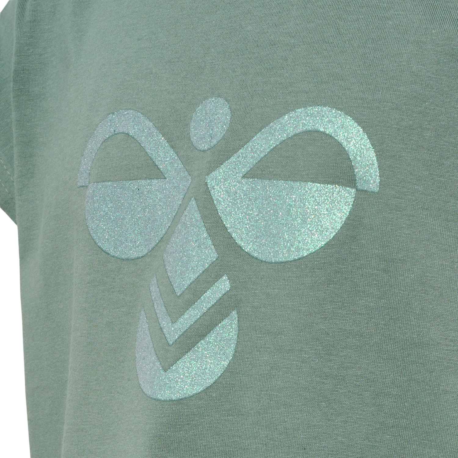 hmlDIEZ T-SHIRT S/S, LAUREL WREATH, packshot