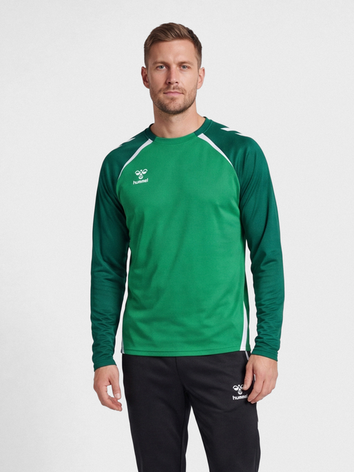 hmlLEAD 2.0 CREW SWEAT, JELLY BEAN/EVERGREEN, model