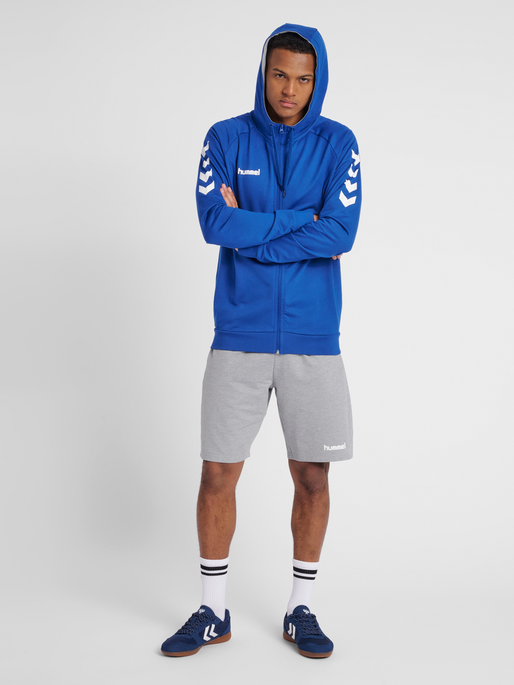 HMLGO COTTON ZIP HOODIE, TRUE BLUE, model