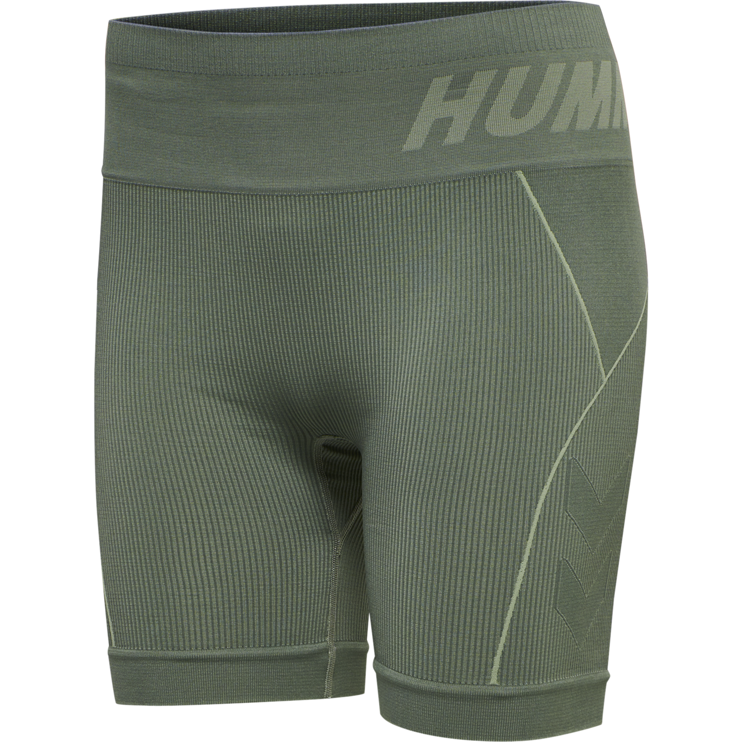 hmlTE CHRISTEL SEAMLESS SHORTS, LILY PAD/ LAUREL WREATH MELANGE, packshot