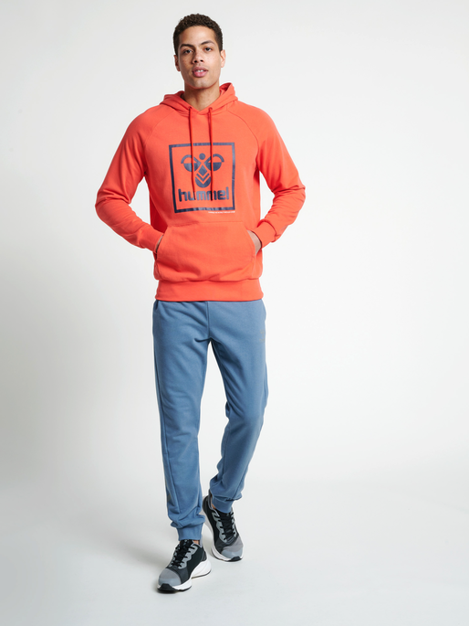 hmlISAM HOODIE, 3008, model