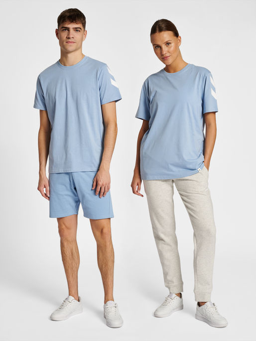 hmlLEGACY CHEVRON T-SHIRT, ASHLEY BLUE, model