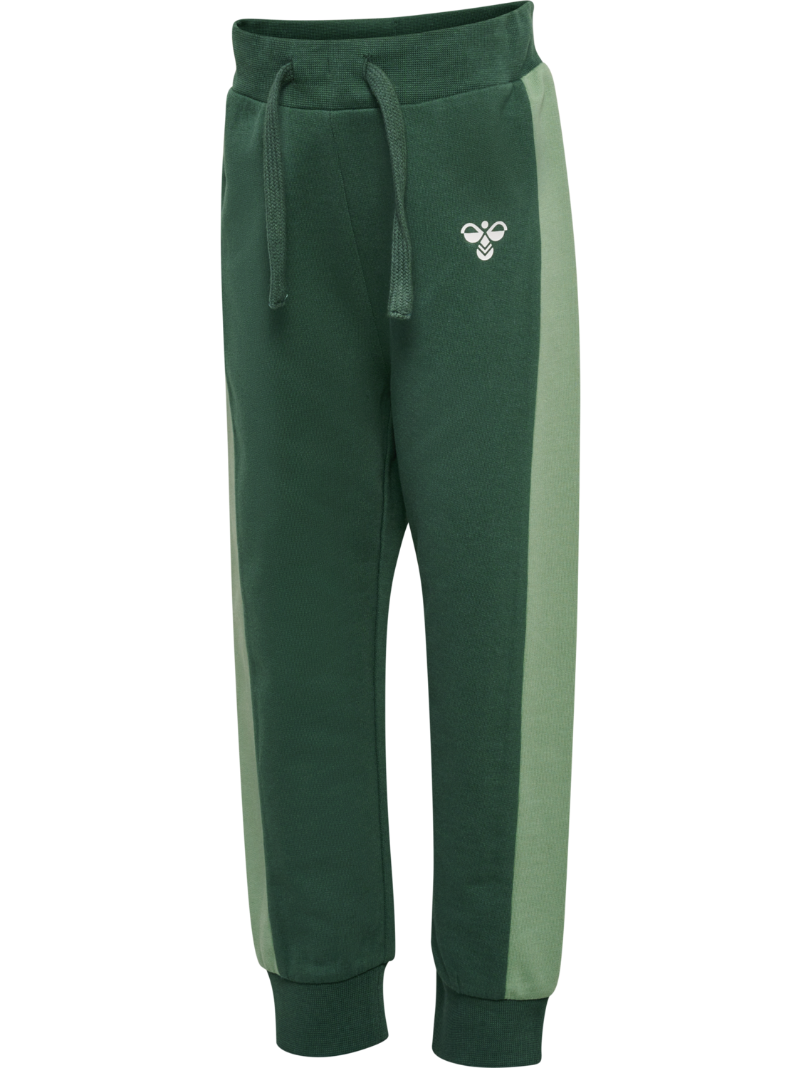 hmlARNOLD PANTS, GARDEN TOPIARY, packshot