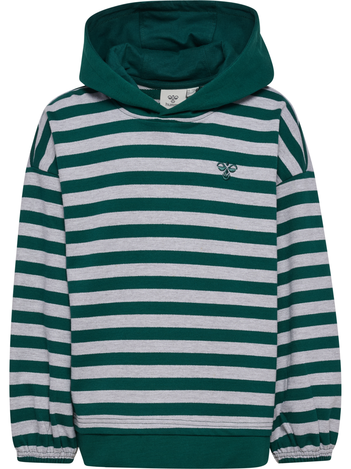 hmlJR CONELLY BOXY CONTRAST HOODIE, FOREST BIOME, packshot