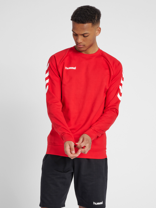 HMLGO COTTON SWEATSHIRT, TRUE RED, model