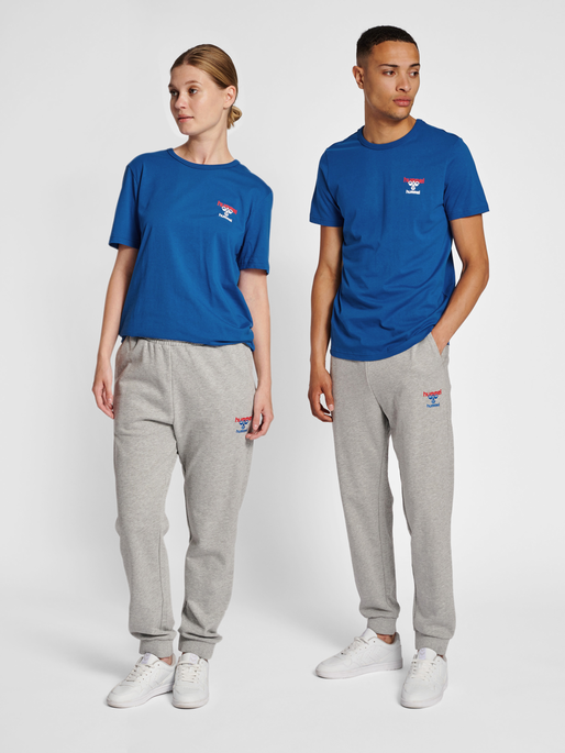 hmlIC DAYTON T-SHIRT, TRUE BLUE, model