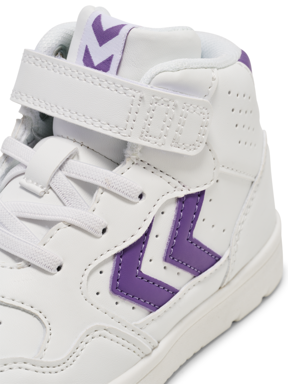 CAMDEN HIGH JR, PANSY, packshot