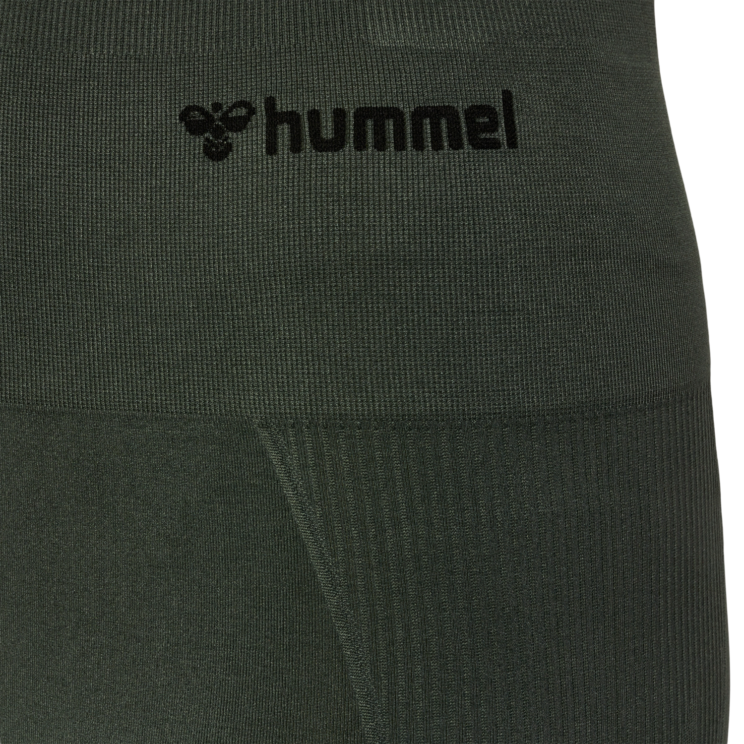 hmlTIF SEAMLESS HIGH WAIST TIGHTS, CLIMBING IVY, packshot