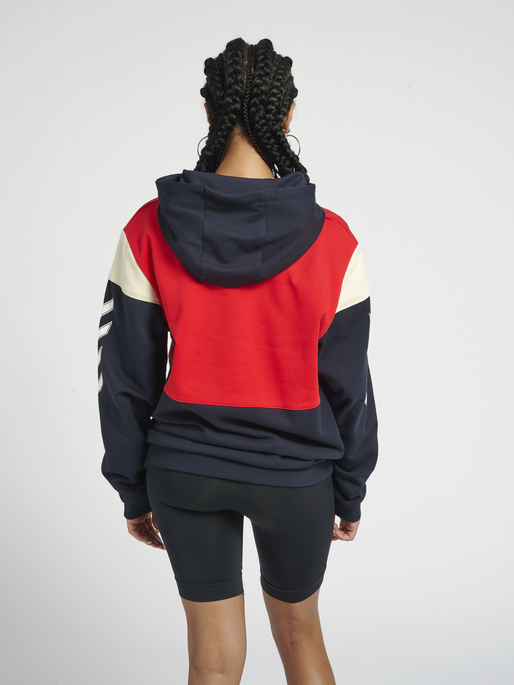 hmlWILLIAM BLOCKED HOODIE, 7381, model