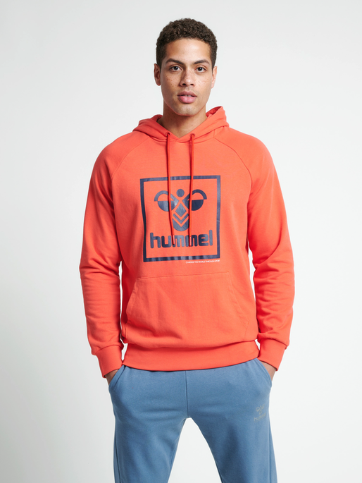 hmlISAM HOODIE, 3008, model