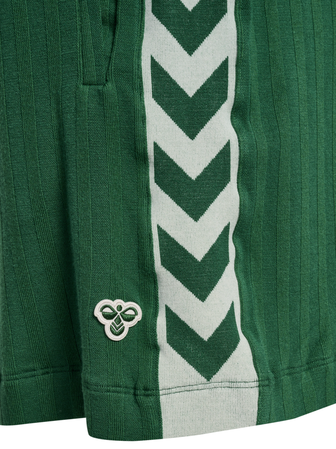 hmlARCHIVE REGULAR SHORTS, EDEN, packshot