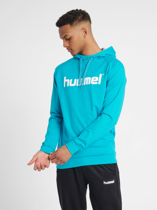 HMLGO COTTON LOGO HOODIE, 7391, model