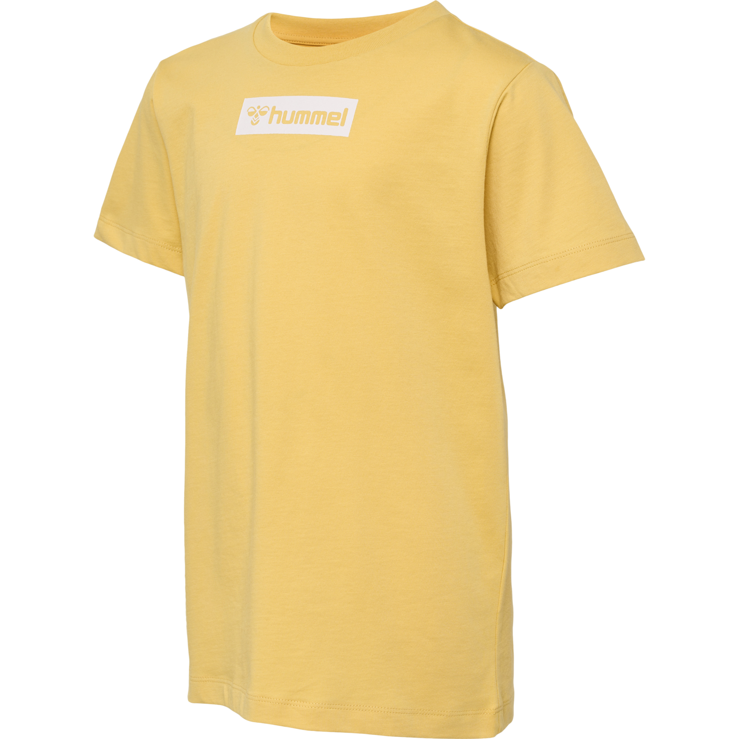 hmlFLOW T-SHIRT S/S, OCHRE, packshot