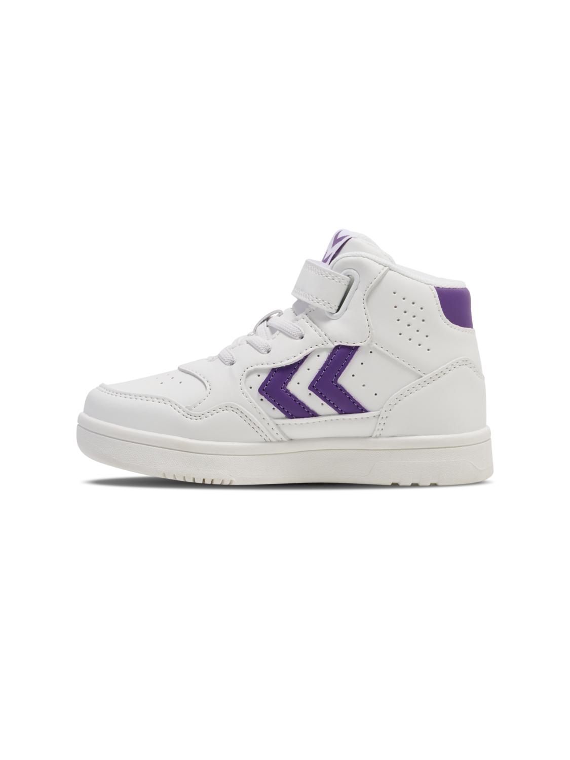 CAMDEN HIGH JR, PANSY, packshot