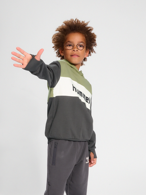 hmlMORTEN HOODIE, 7400, model