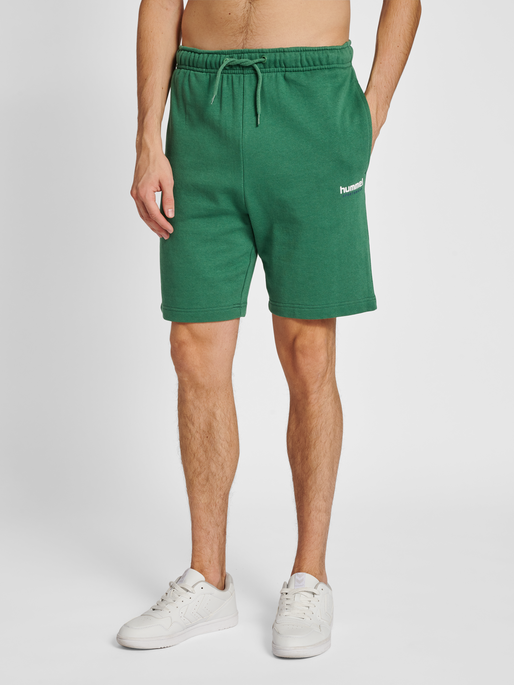 hmlLGC GABE SWEATSHORTS, 6110, model