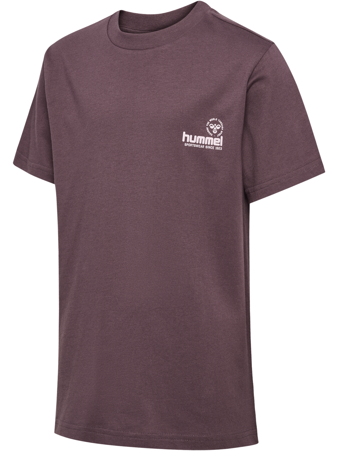 hmlJR REG GRAPHIC T-SHIRT S/S, BLACK PLUM, packshot