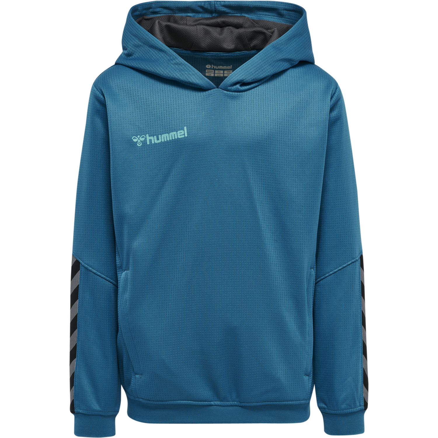 hmlAUTHENTIC KIDS POLY HOODIE, CELESTIAL, packshot