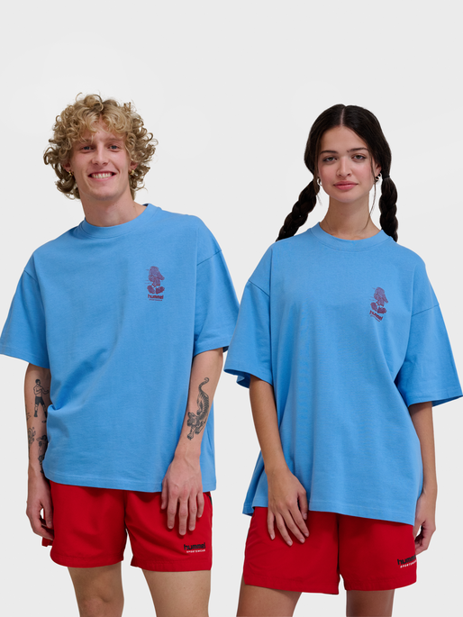 hmlLOOSE T-SHIRT S/S BEES STADIUM, LICHEN BLUE, model