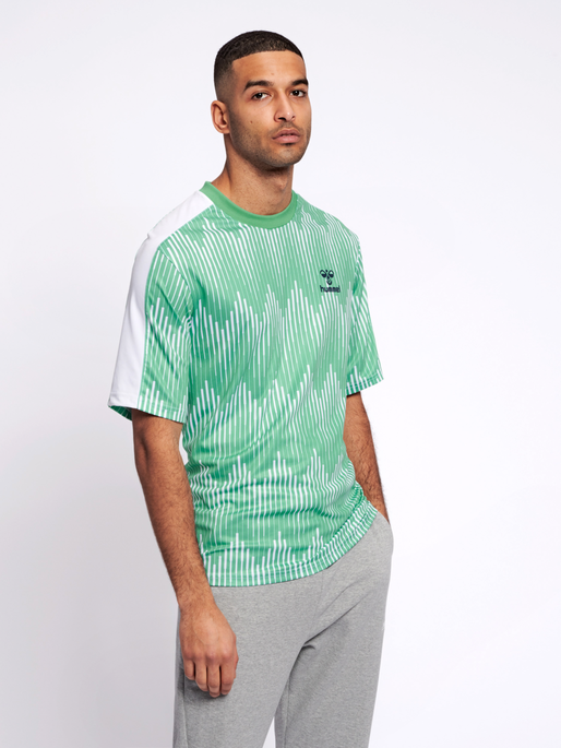 hmlBLAZE T-SHIRT S/S, 5317, model