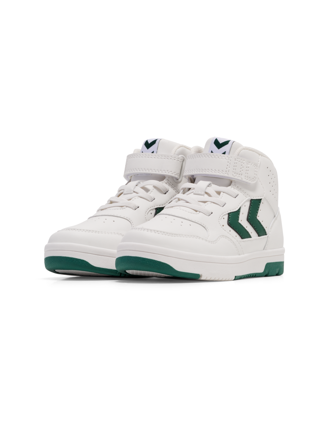 CAMDEN HIGH JR, GARDEN TOPIARY, packshot