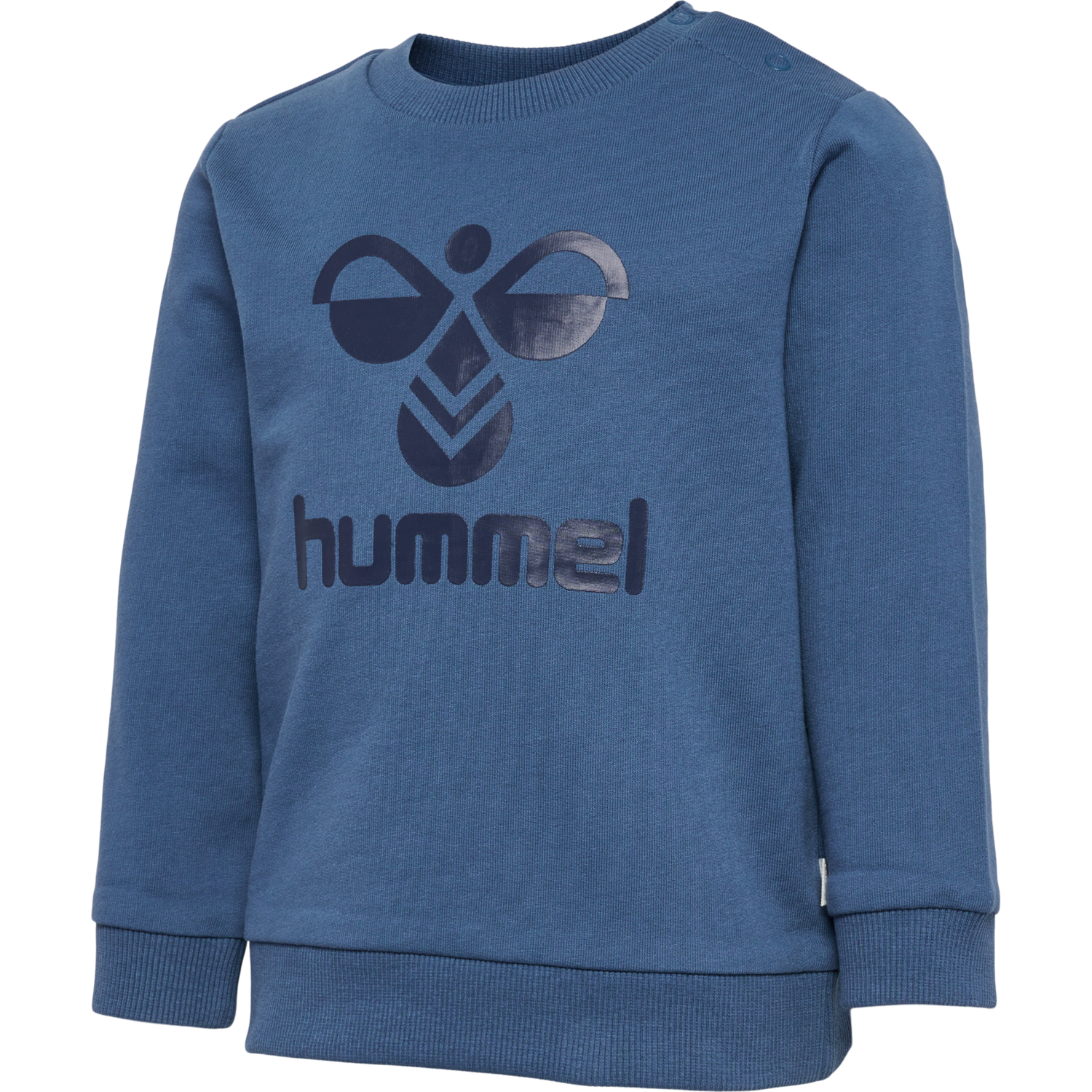 hmlSTEEN SWEATSHIRT, ENSIGN BLUE, packshot