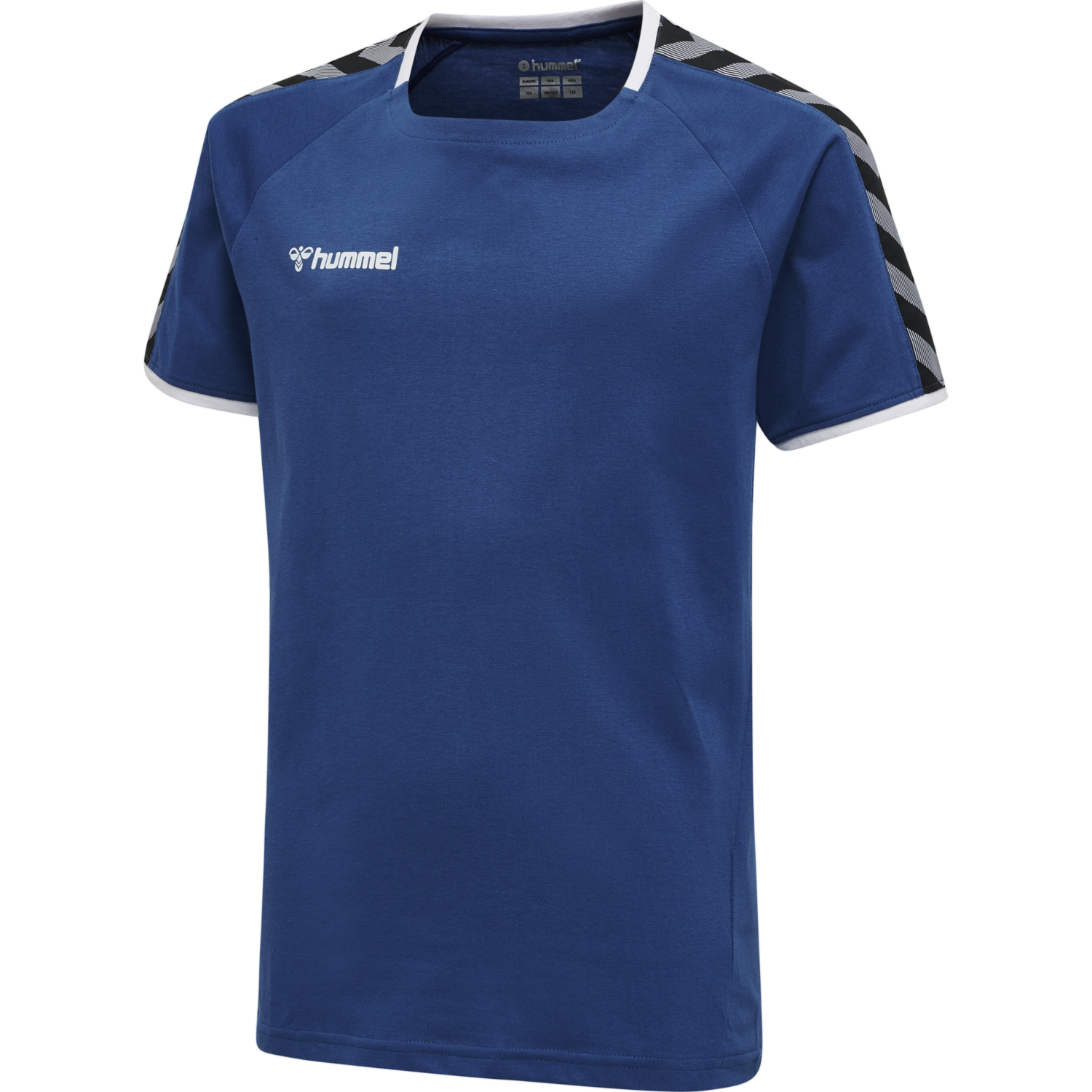 hmlAUTHENTIC KIDS TRAINING TEE, TRUE BLUE, packshot