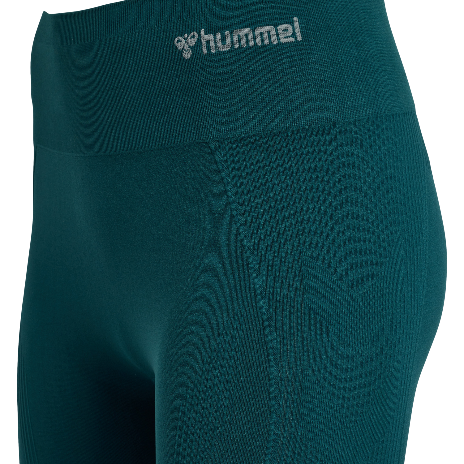 hmlTIF SEAMLESS HIGH WAIST TIGHTS, 6470, packshot