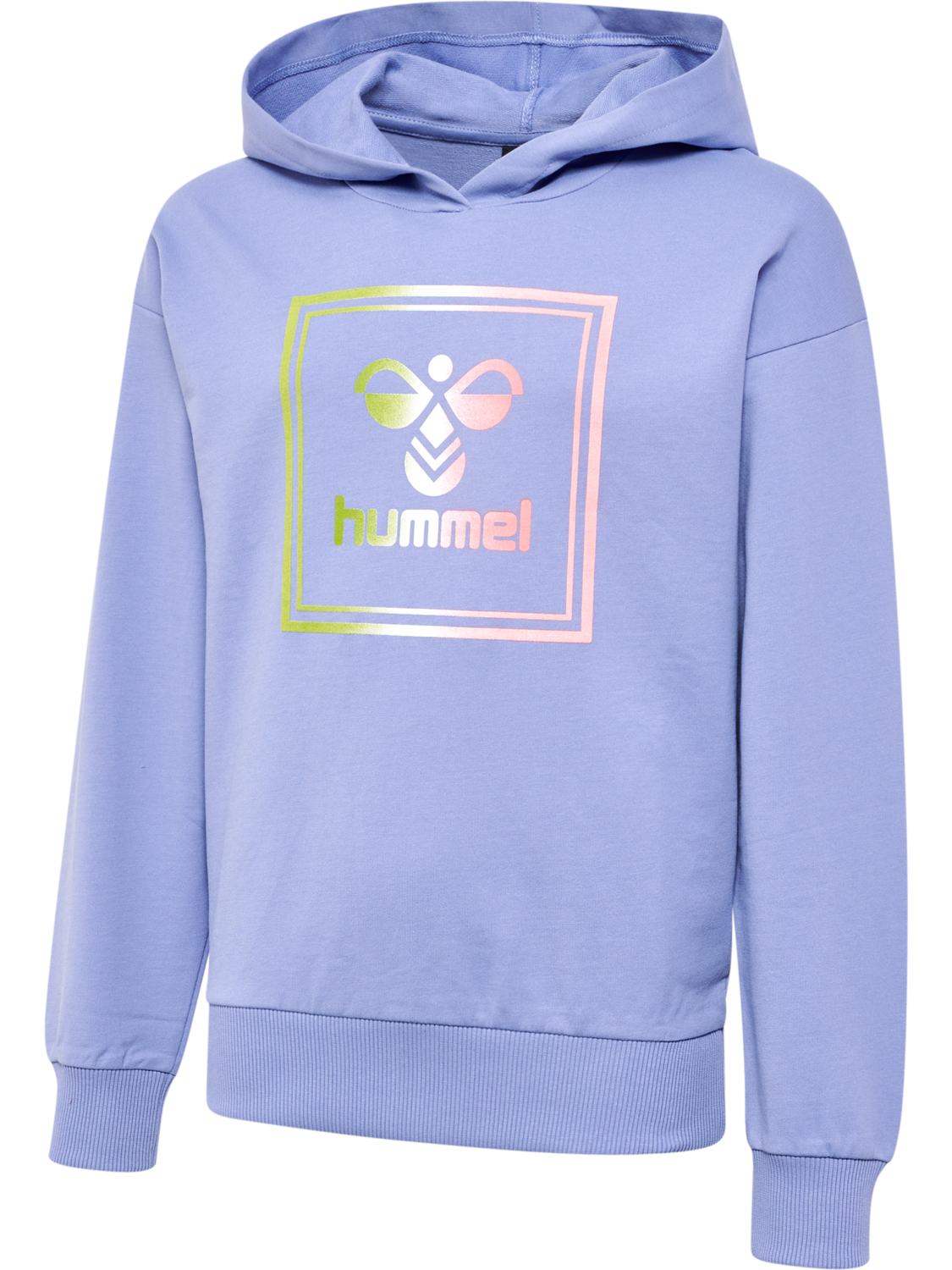 HMLLEIDEN HOODIE, 1049, packshot