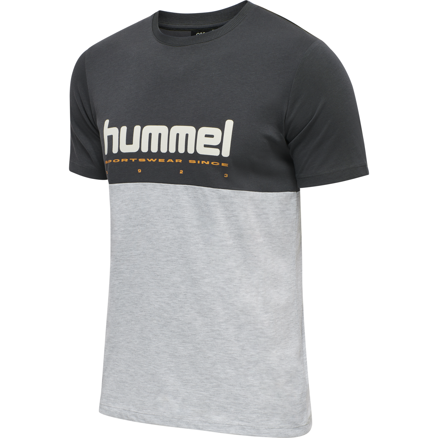 hmlLGC MANFRED T-SHIRT, 2010, packshot