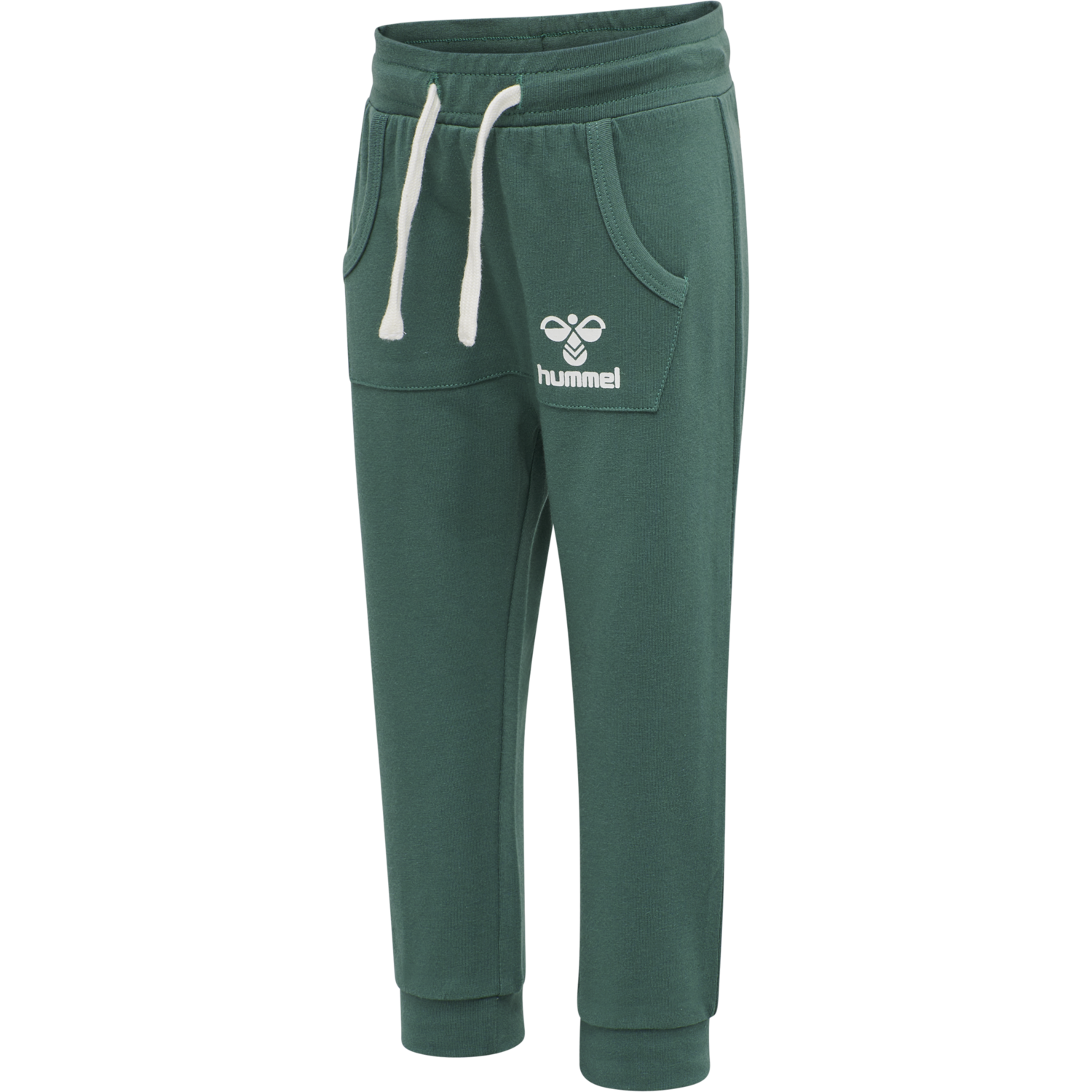 hmlFUTTE PANTS, 8295, packshot