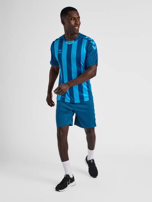 hmlCORE XK STRIPED JERSEY S/S, BLUE CORAL/BLUE DANUBE, model
