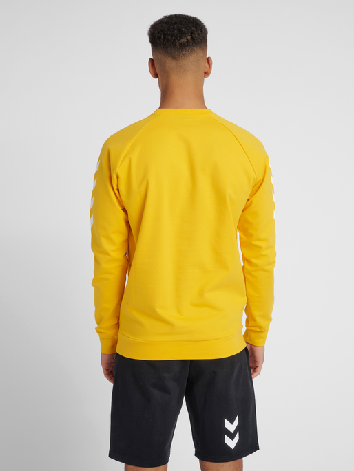HMLGO COTTON SWEATSHIRT, SPORTS YELLOW, model