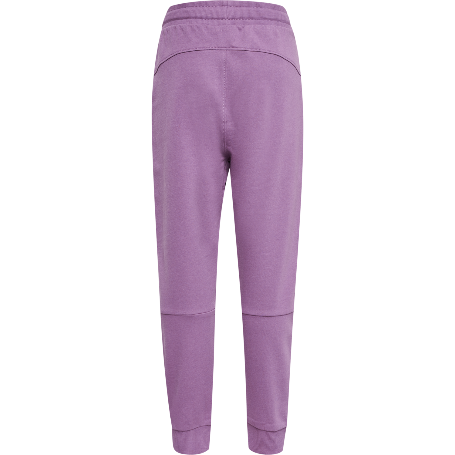 hmlFAST PANTS, ARGYLE PURPLE, packshot