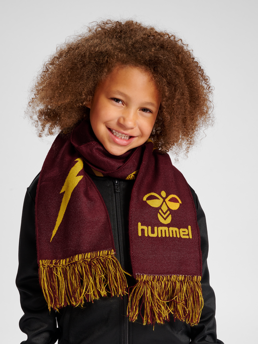 hmlHARRY POTTER SCARF, 3679, model